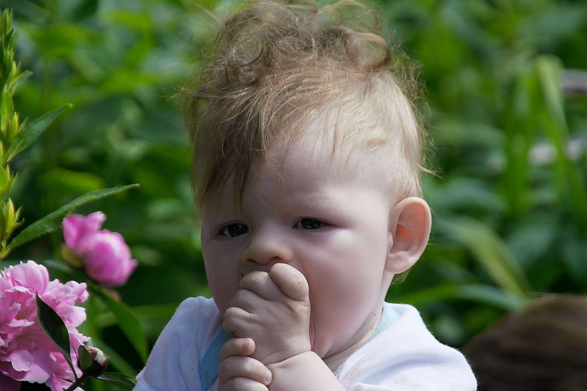 ������� 3 ����� vladimir tamoza �� PhotoGeek.ru #������� #��������