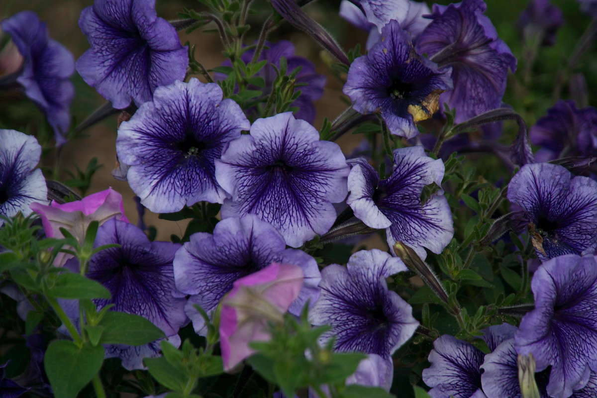 ... ����� vladimir tamoza �� PhotoGeek.ru #������ ��� ������� #����� ��������������