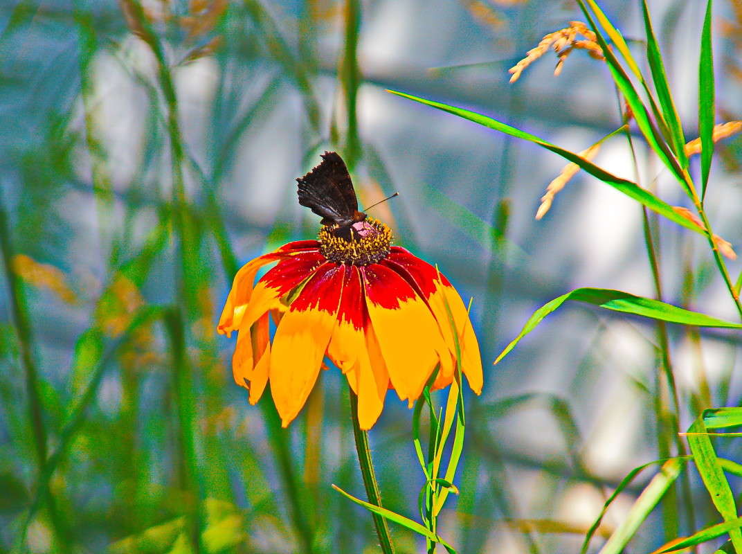 ... ����� vladimir tamoza �� PhotoGeek.ru #������ ��� ������� #����� �������������� #������