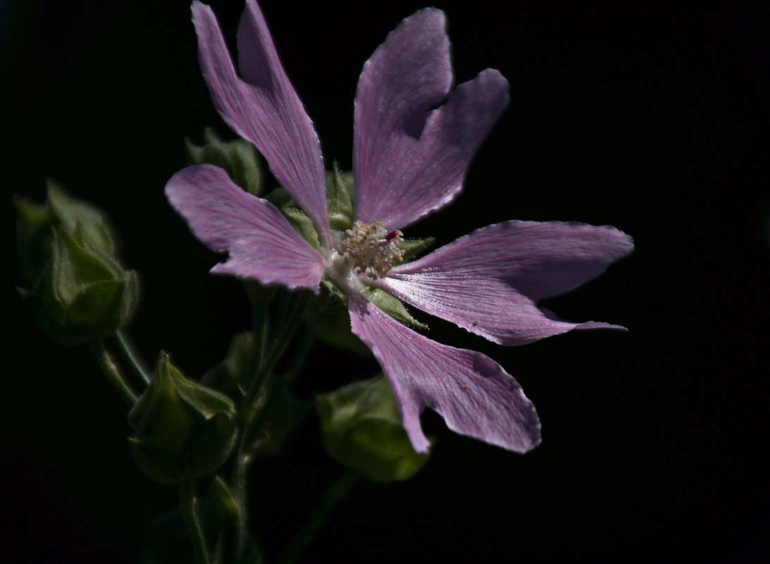 ... ����� vladimir tamoza �� PhotoGeek.ru #������ ��� ������� #����� �������������� #������