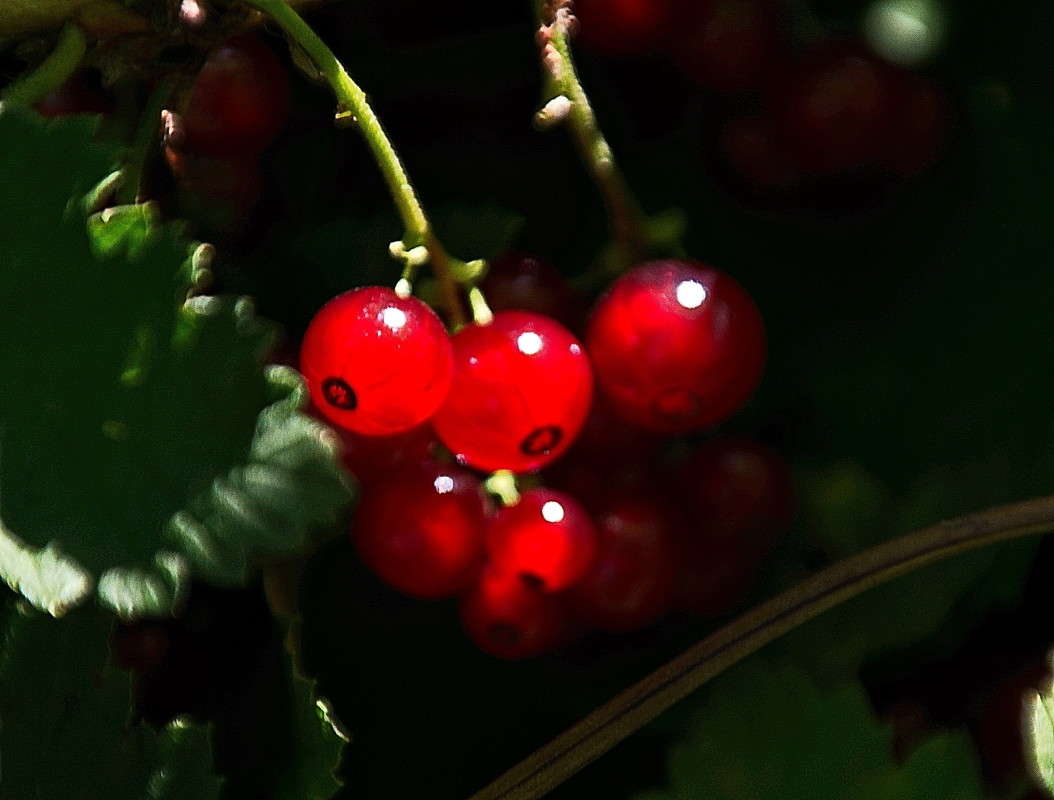 ... ����� vladimir tamoza �� PhotoGeek.ru #������ ��� ������� #����� �������������� #������