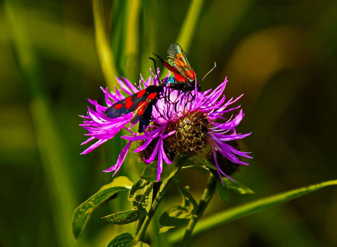 ... ����� vladimir tamoza �� PhotoGeek.ru #������ ��� ������� #������