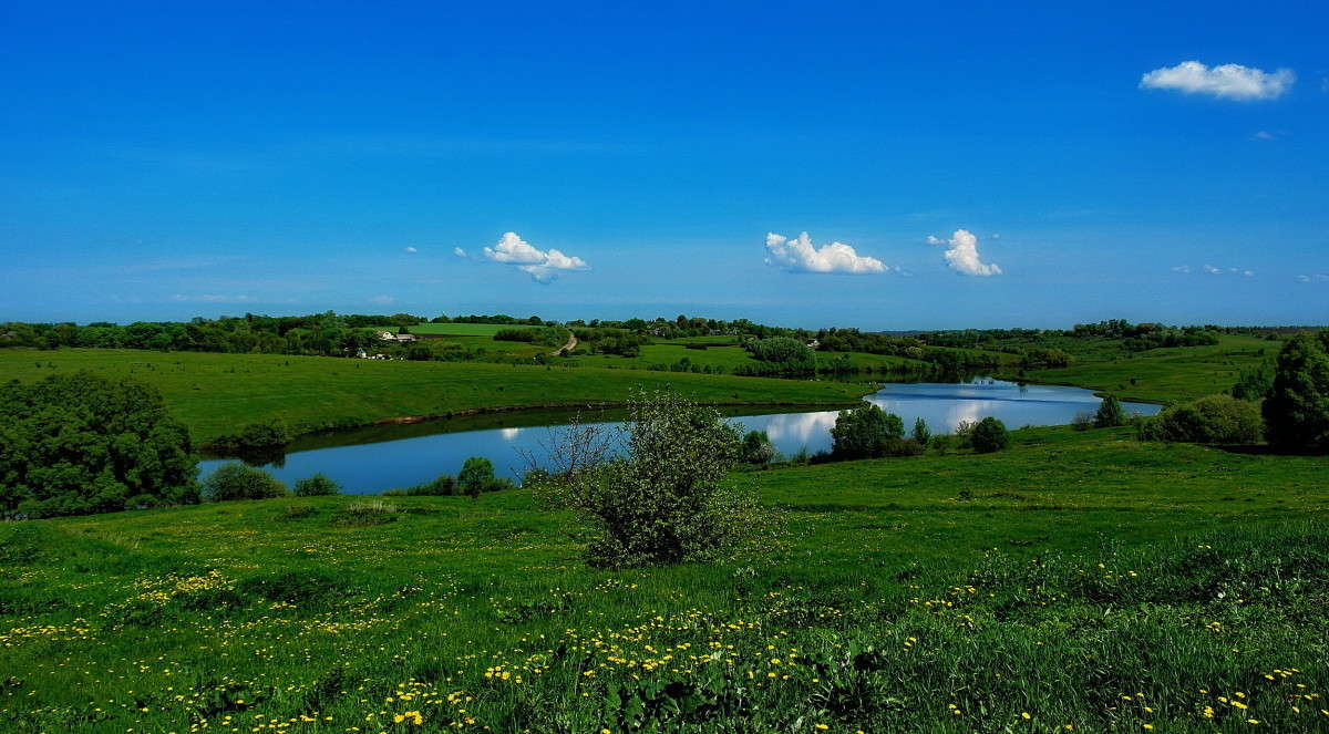 ����� �� ������� �������... ����� vladimir tamoza �� PhotoGeek.ru #������ ��� ������� #������