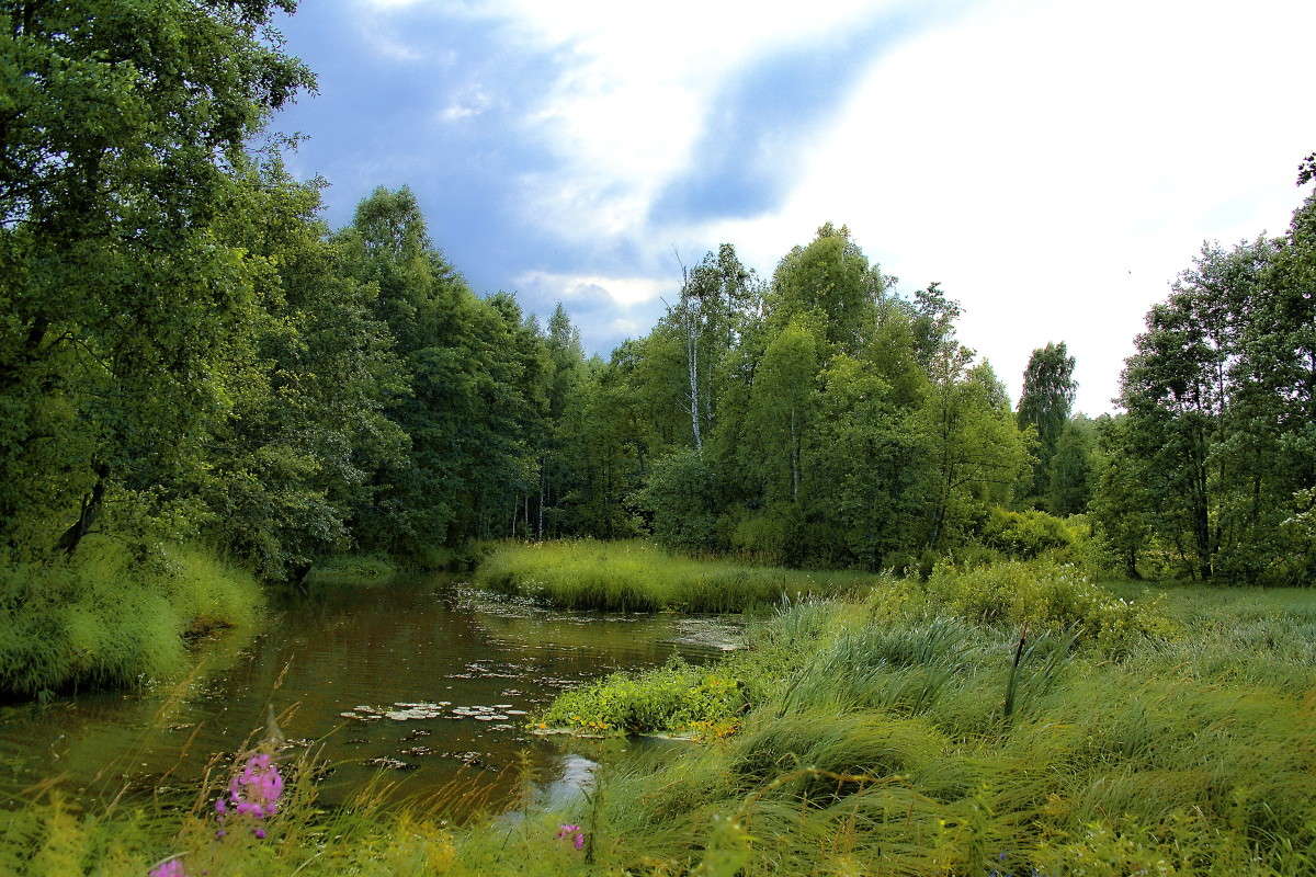 ������ �����.. ����� vladimir tamoza �� PhotoGeek.ru #������ ��� ������� #��������� #������ #����� ��������