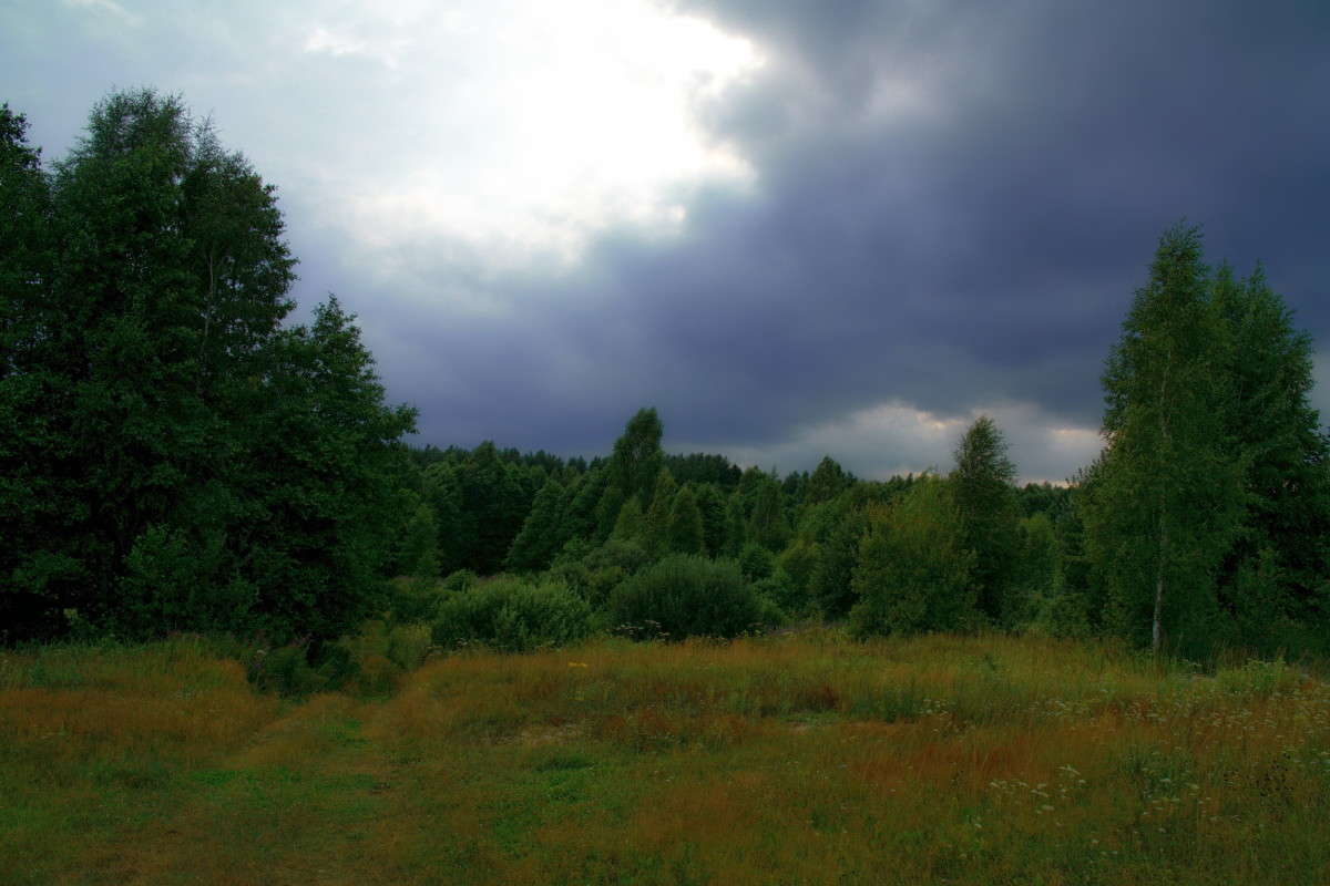 ����� ������... ����� vladimir tamoza �� PhotoGeek.ru #������ ��� ������� #����� �������������� #��������� #������