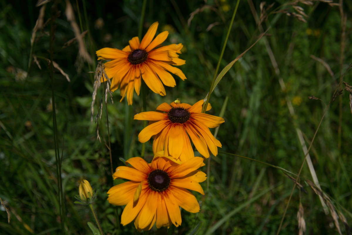 ... ����� vladimir tamoza �� PhotoGeek.ru #������ ��� ������� #����� �������������� #������