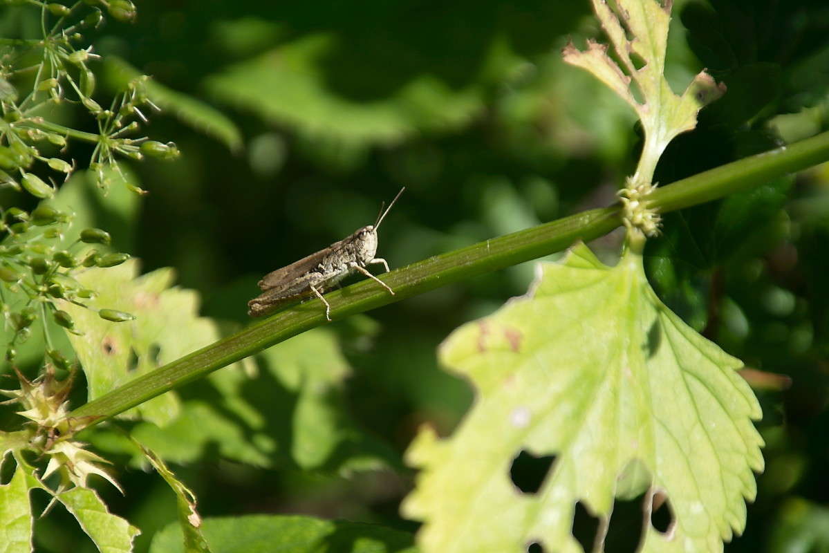 � ����� ����� ��������.. ����� vladimir tamoza �� PhotoGeek.ru #������ ��� ������� #������