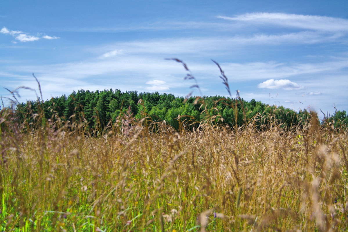 ����� �� ����... ����� vladimir tamoza �� PhotoGeek.ru #������ ��� ������� #����� �������������� #������