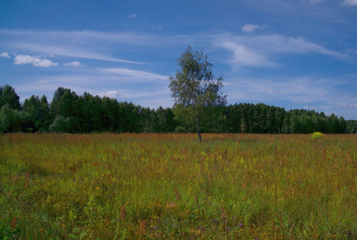 �������� ������.. ����� vladimir tamoza �� PhotoGeek.ru #������ ��� ������� #����� �������������� #������