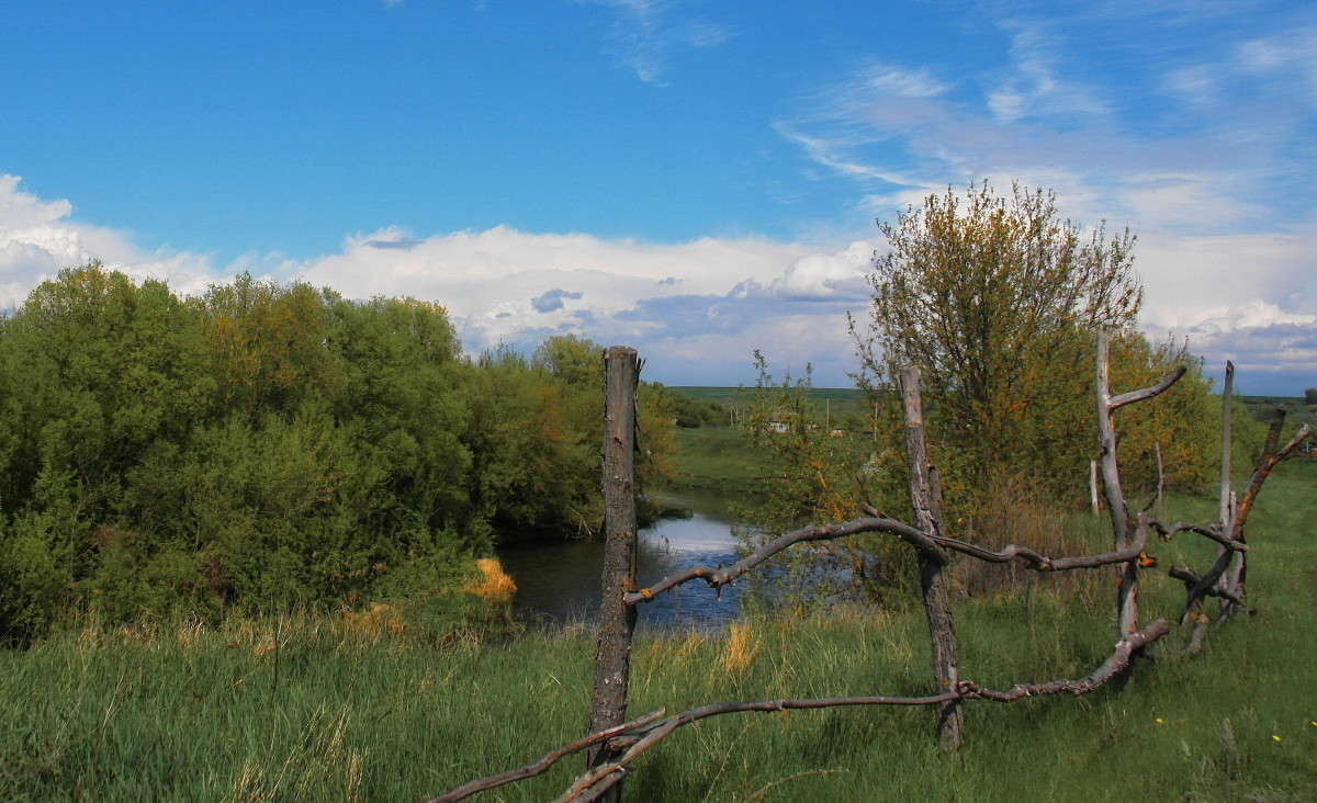 �� �������.... ����� vladimir tamoza �� PhotoGeek.ru #������ ��� ������� #��������� #������