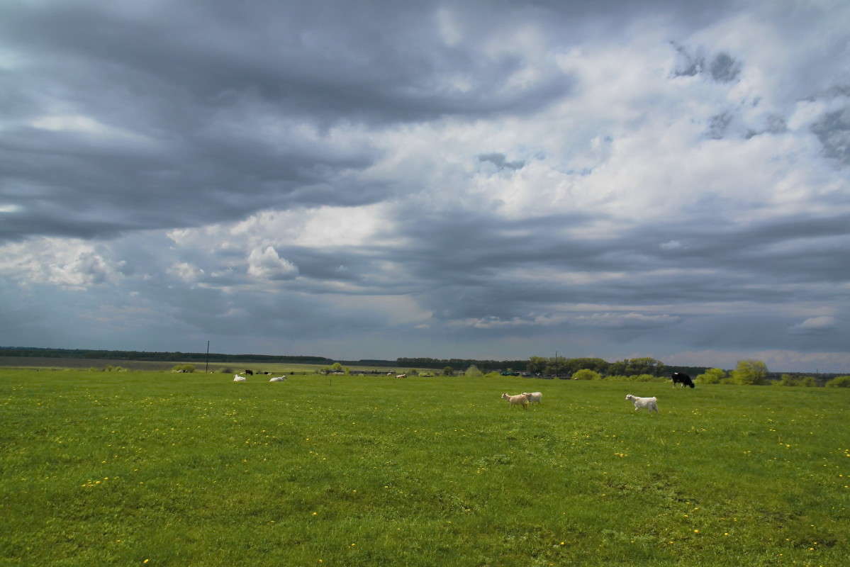 �� ���� � �������... ����� vladimir tamoza �� PhotoGeek.ru #������ ��� ������� #��������� #������