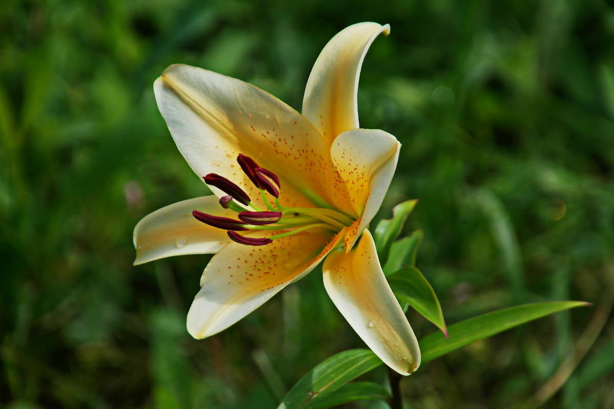 �����.. ����� vladimir tamoza �� PhotoGeek.ru #����� �������������� #����� ��������