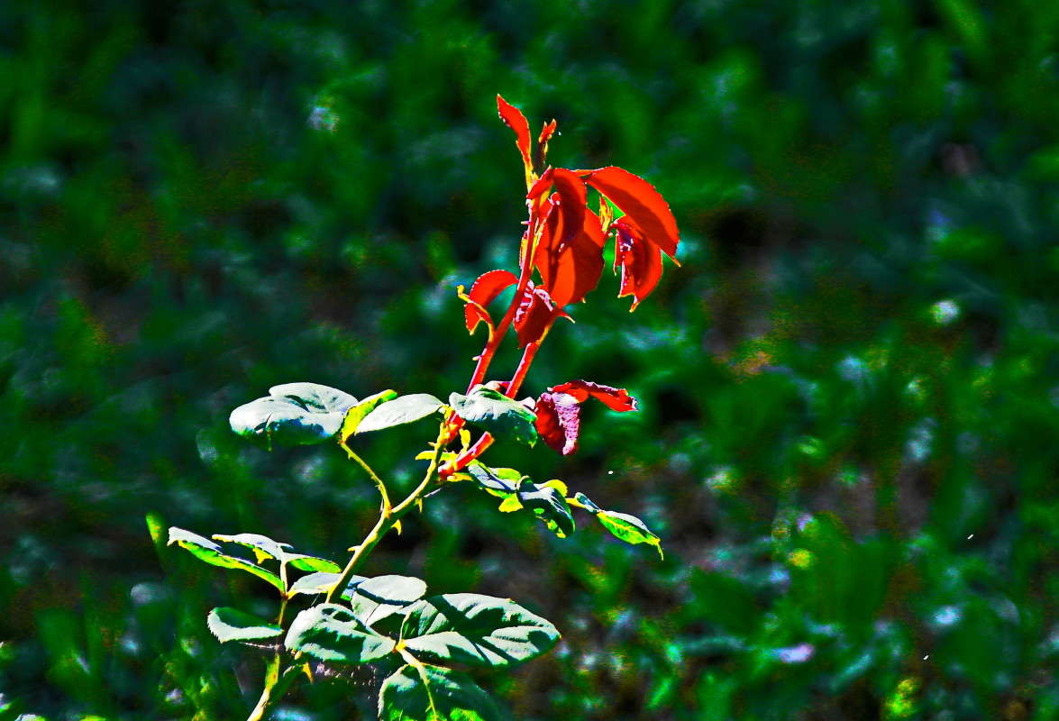 ������� ��� ����... �� .... ����� vladimir tamoza �� PhotoGeek.ru #������ ��� ������� #����� �������������� #��������� #������