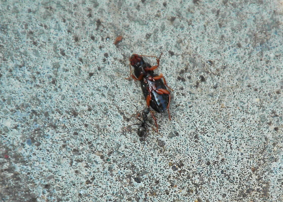 ������... ����� vladimir tamoza �� PhotoGeek.ru #�������� ��� #������ #����� ��������