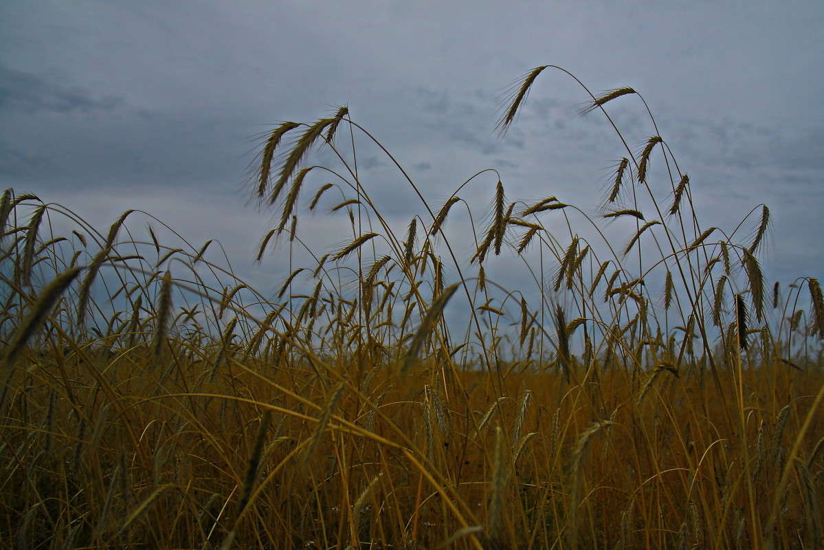 �������.. ����� vladimir tamoza �� PhotoGeek.ru #������ ��� ������� #����� �������������� #��������� #������