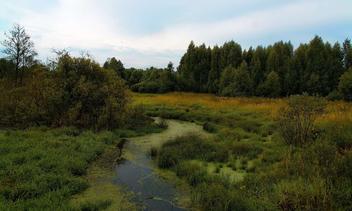 ... ����� vladimir tamoza �� PhotoGeek.ru #������ ��� ������� #��������� #������