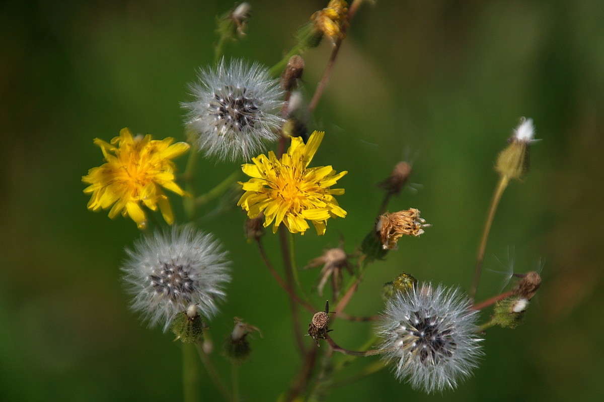 ... ����� vladimir tamoza �� PhotoGeek.ru #����� �������������� #��������� #������