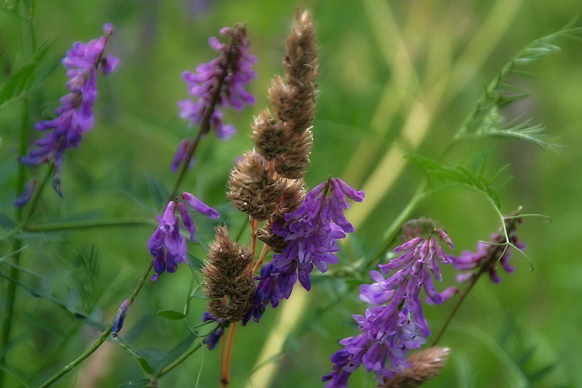 ... ����� vladimir tamoza �� PhotoGeek.ru #����� �������������� #������