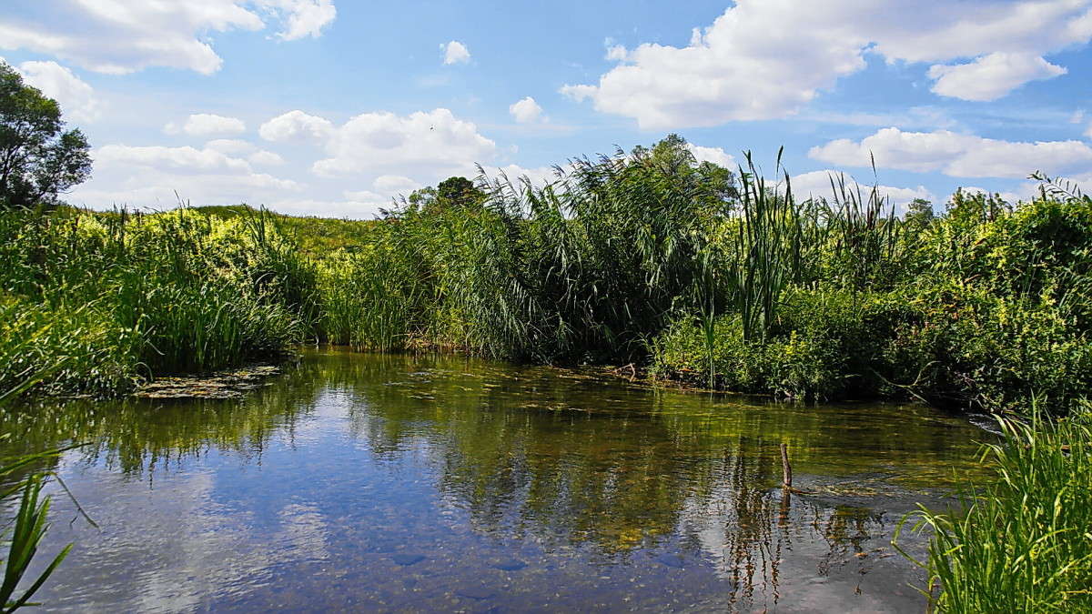 ���� ������..; ����� vladimir tamoza �� PhotoGeek.ru #������ ��� ������� #����� �������������� #��������� #������