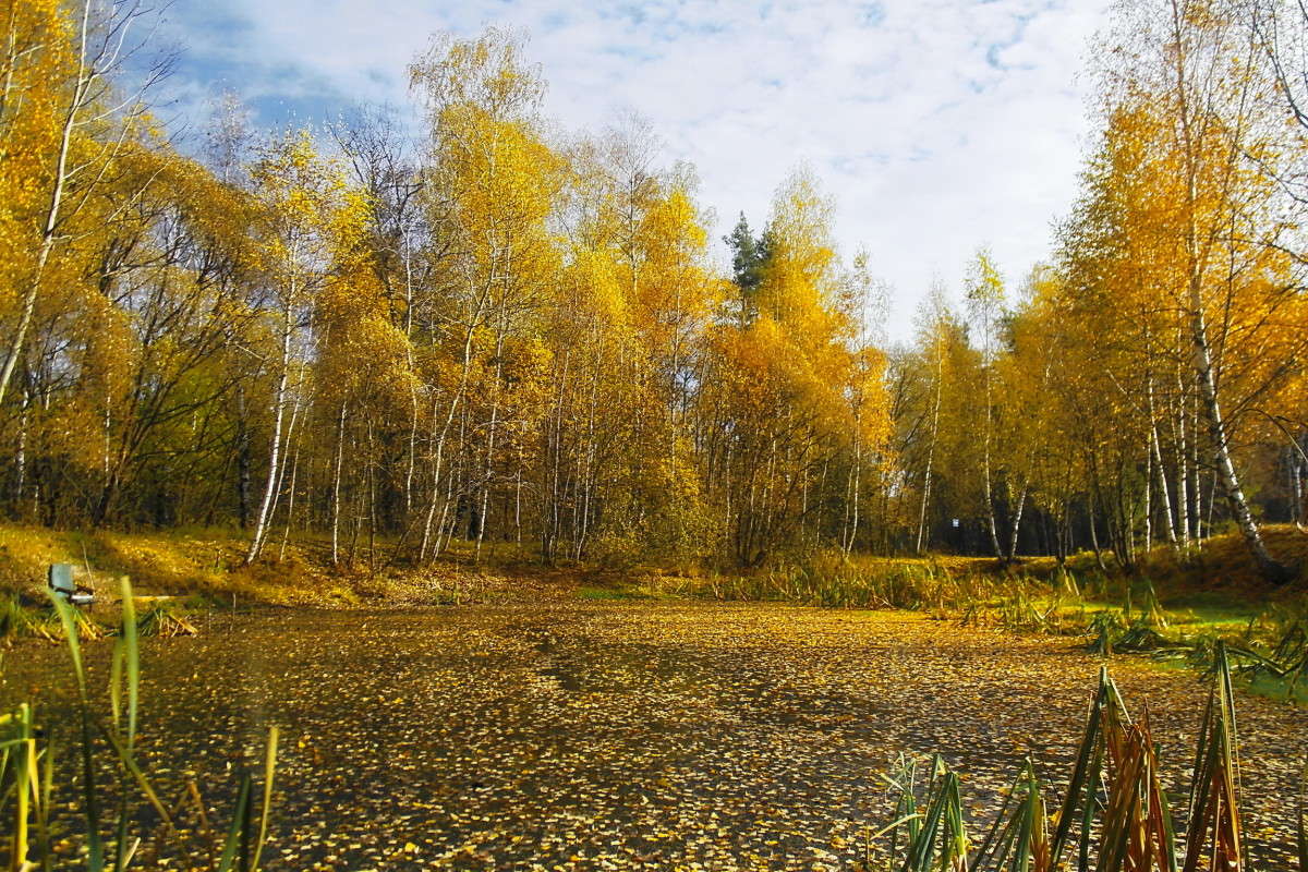 ������� ������.. ����� vladimir tamoza �� PhotoGeek.ru #������ ��� ������� #����� �������������� #��������� #������