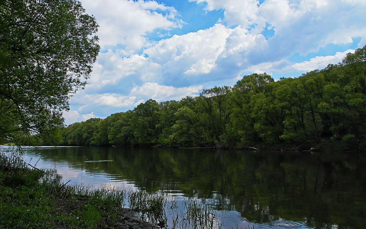 �� ������ ����� vladimir tamoza �� PhotoGeek.ru #������ ��� ������� #��������� #������ #����� ��������