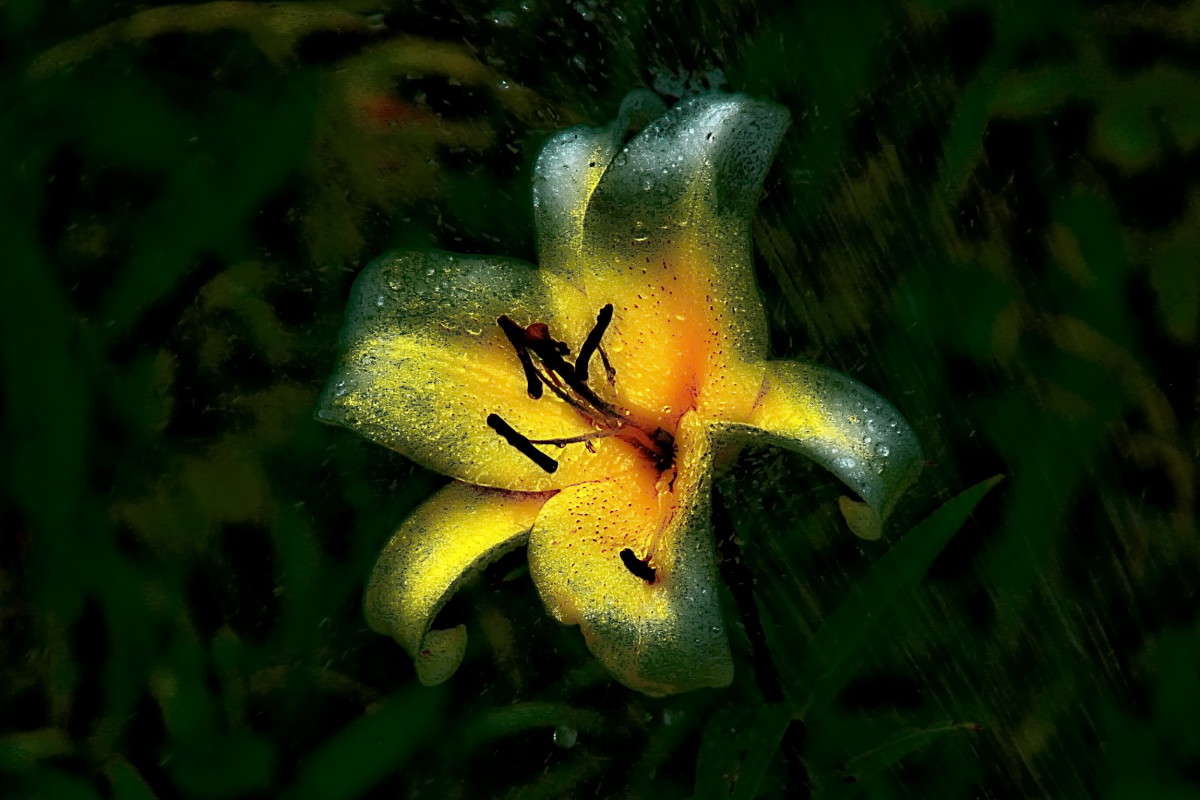 ������ ���������... ����� vladimir tamoza �� PhotoGeek.ru #����� �������������� #��������� #������