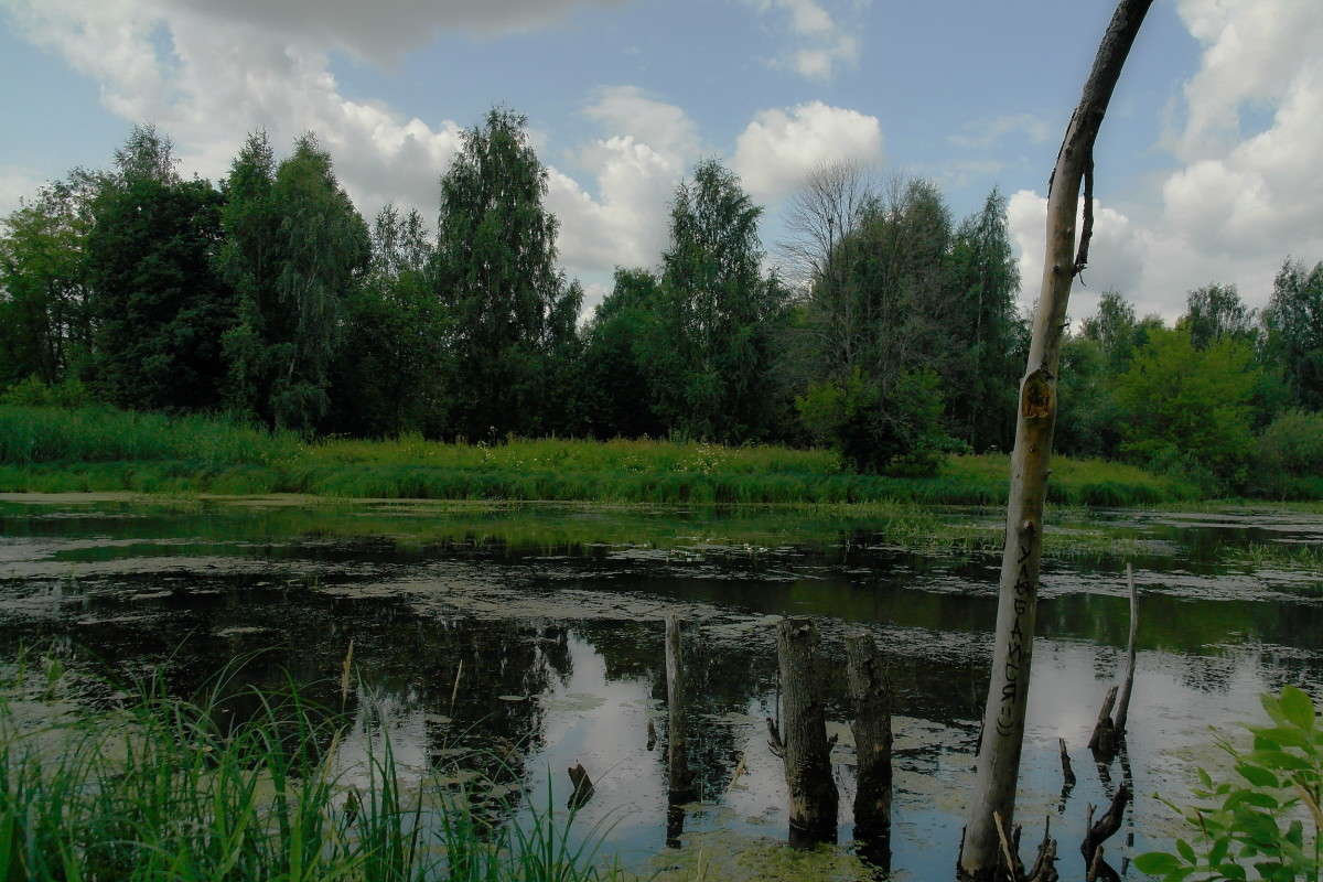 ... ����� vladimir tamoza �� PhotoGeek.ru #������ ��� ������� #������ #����� ��������