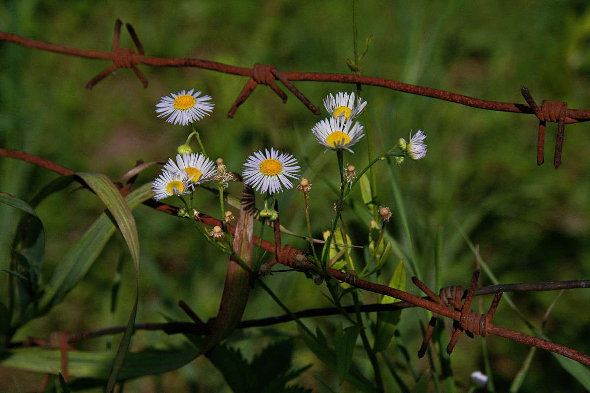 �� ����������� ������... ����� vladimir tamoza �� PhotoGeek.ru #������ ��� ������� #����� �������������� #��������� #������