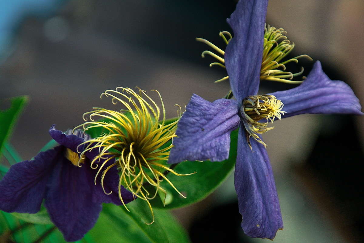 ... ����� vladimir tamoza �� PhotoGeek.ru #����� �������������� #��������� #������