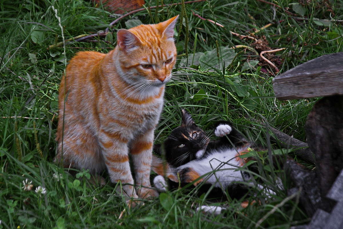 ����� ��������... ����� vladimir tamoza �� PhotoGeek.ru #�������� ��� #��������� #������