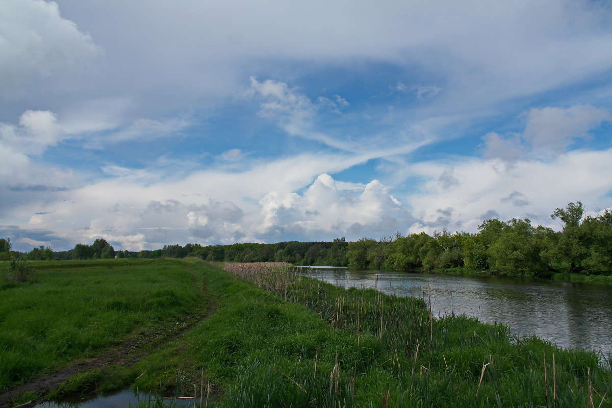 ���� ������..; ����� vladimir tamoza �� PhotoGeek.ru #������ ��� ������� #��������� #������