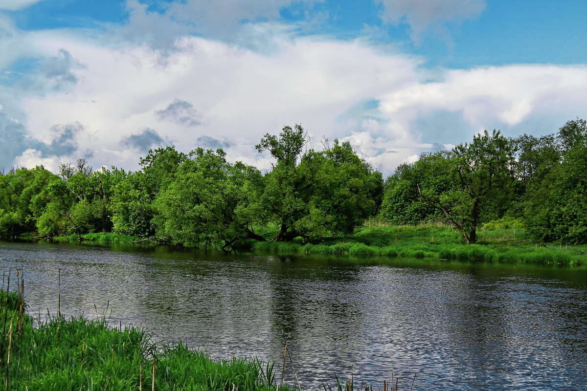 ... ����� vladimir tamoza �� PhotoGeek.ru #������ ��� ������� #����� �������������� #��������� #������