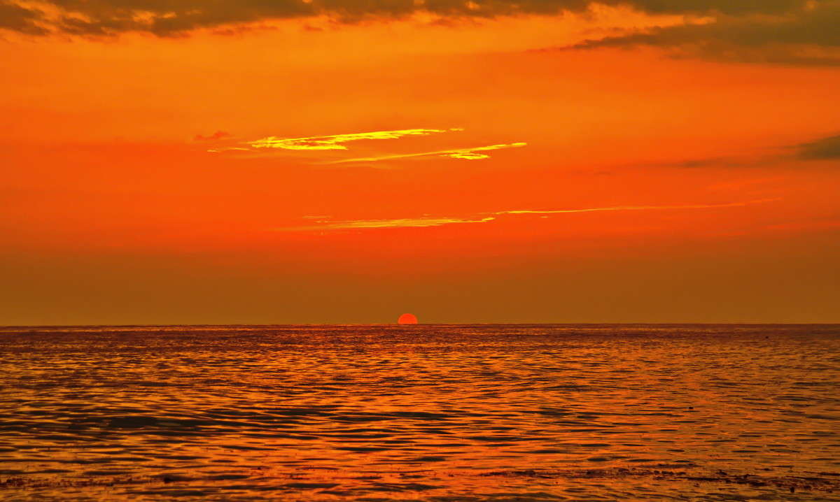 ... ����� vladimir tamoza �� PhotoGeek.ru #������ ��� ������� #������