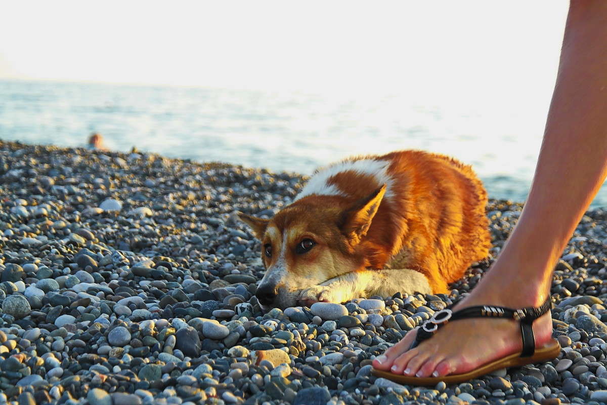 ��������.... ����� vladimir tamoza �� PhotoGeek.ru #�������� ��� #������ ��� ������� #��������� #������