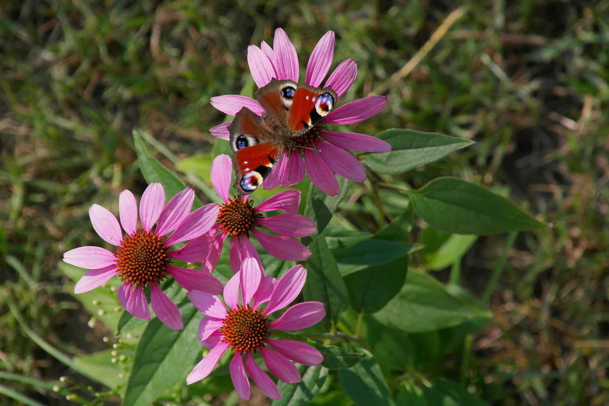 ������... ����� vladimir tamoza �� PhotoGeek.ru #������ ��� ������� #��������� #������ #����� ��������