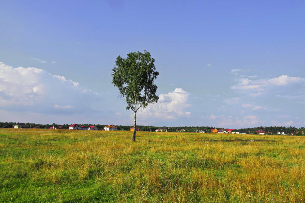 ��������.... ����� vladimir tamoza �� PhotoGeek.ru #������ ��� ������� #����� �������������� #��������� #������