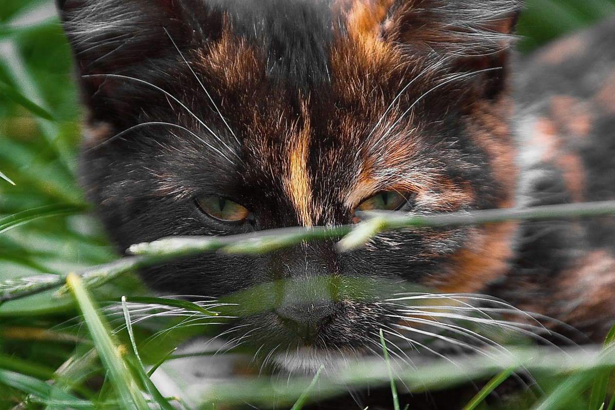 � ������.... ����� vladimir tamoza �� PhotoGeek.ru #������� #��������� #������ #����� ��������