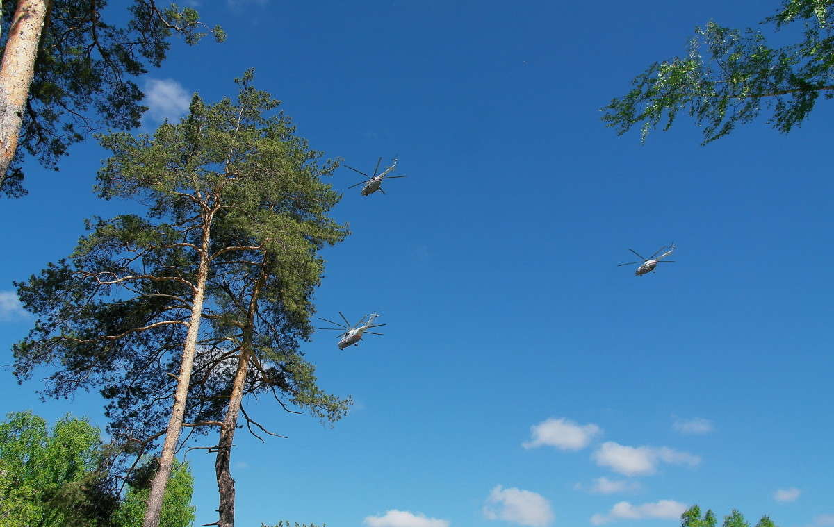 ... ����� vladimir tamoza �� PhotoGeek.ru #������ ��� ������� #��������� #������