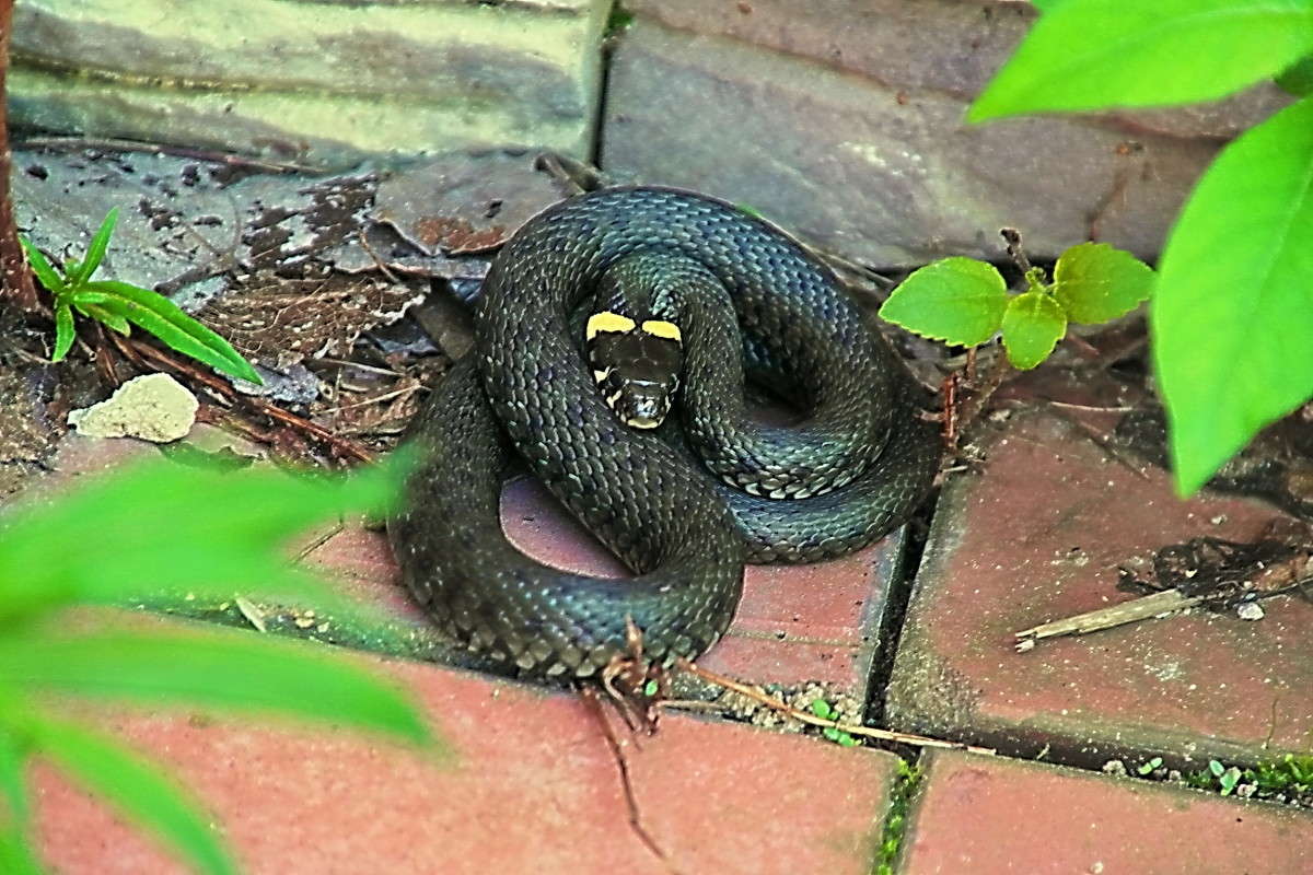 ... ����� vladimir tamoza �� PhotoGeek.ru #�������� ��� #����� ��� ��� ���������