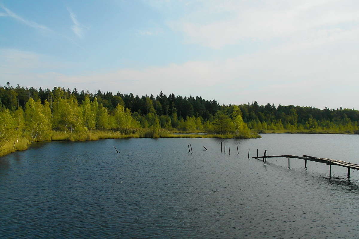 ... ����� vladimir tamoza �� PhotoGeek.ru #��������� ���������� #������ ��� ������� #��������� #������