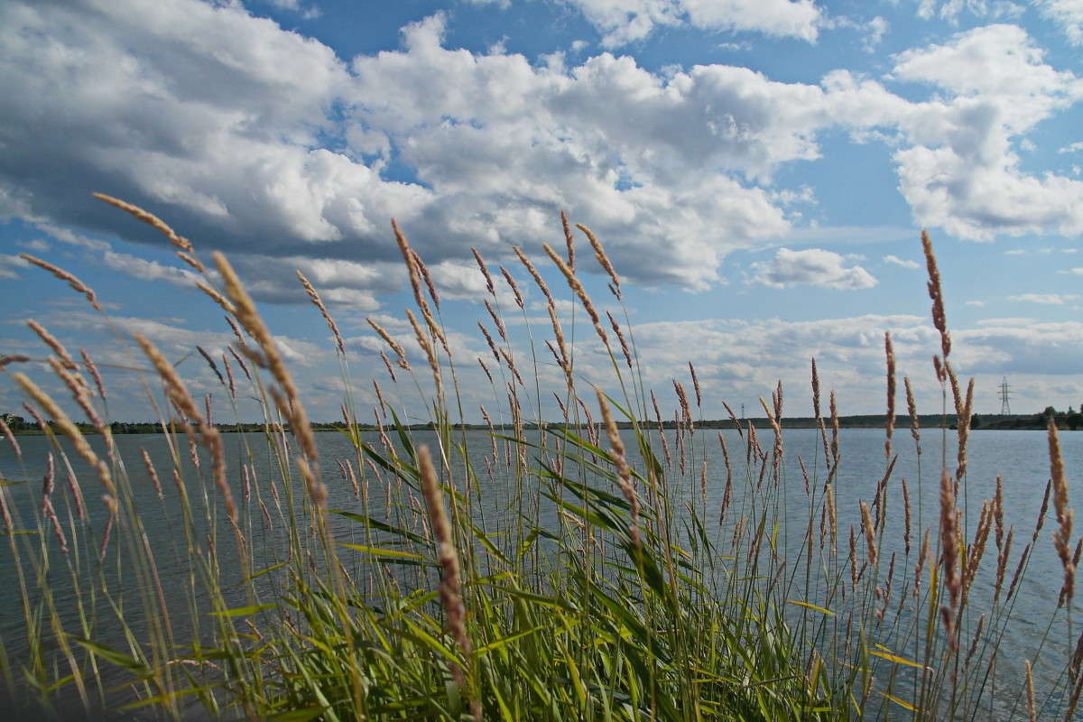 ... ����� vladimir tamoza �� PhotoGeek.ru #������ ��� ������� #��������� #������