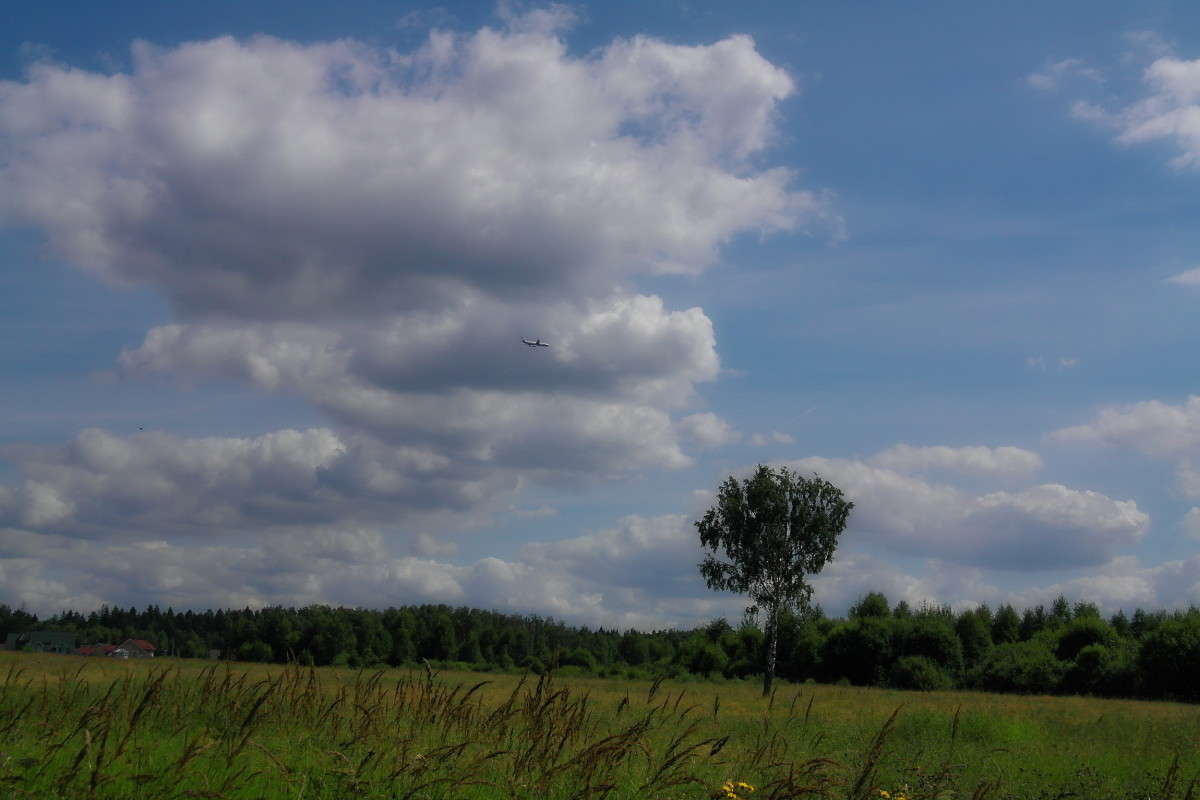 ... ����� vladimir tamoza �� PhotoGeek.ru #������ ��� ������� #��������� #������