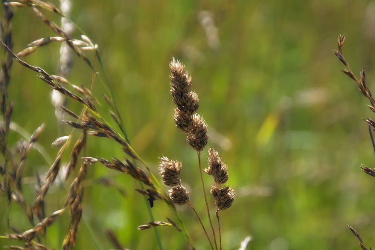 ... ����� vladimir tamoza �� PhotoGeek.ru #����� �������������� #��������� #������