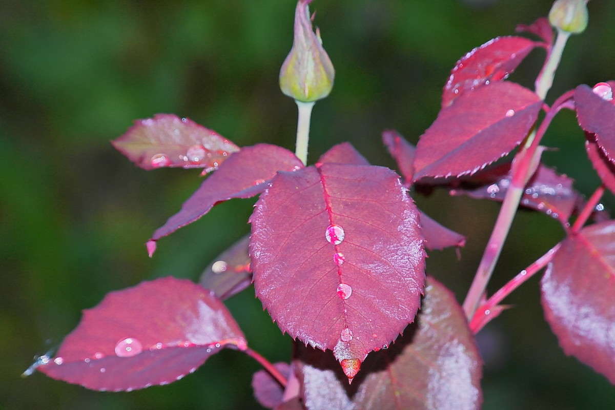 ... ����� vladimir tamoza �� PhotoGeek.ru #����� �������������� #��������� #������