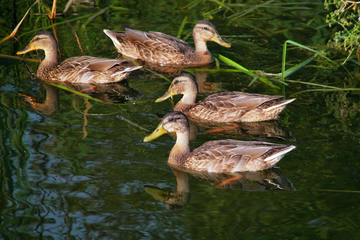 ����.. ����� vladimir tamoza �� PhotoGeek.ru #�������� ��� #����� ��� ��� ��������� #������ #����� ��������