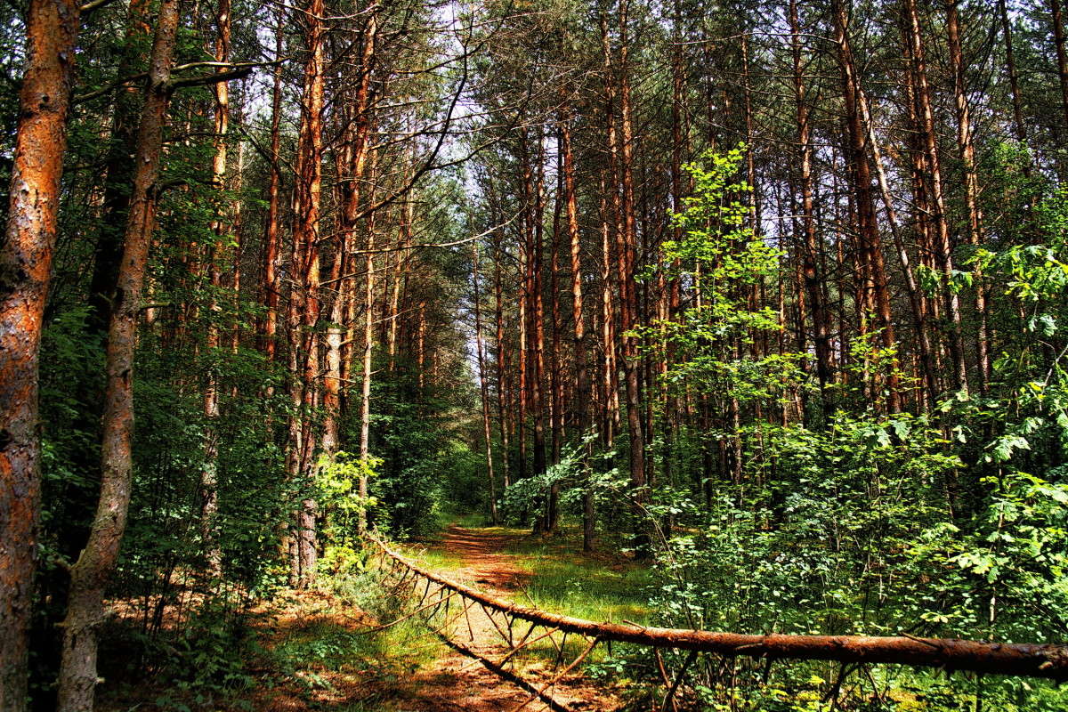 �� ������ �����... ����� vladimir tamoza �� PhotoGeek.ru #������ ��� ������� #��������� #������