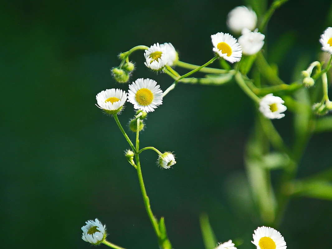 �������.. ����� vladimir tamoza �� PhotoGeek.ru #����� �������������� #��������� #������