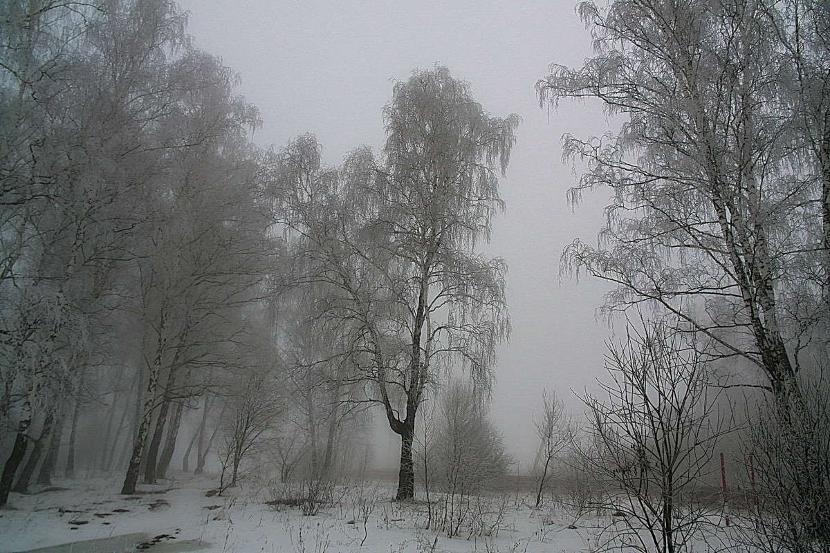 ������ �����... ����� vladimir tamoza �� PhotoGeek.ru #������ ��� ������� #��������� #������ #�����-�����