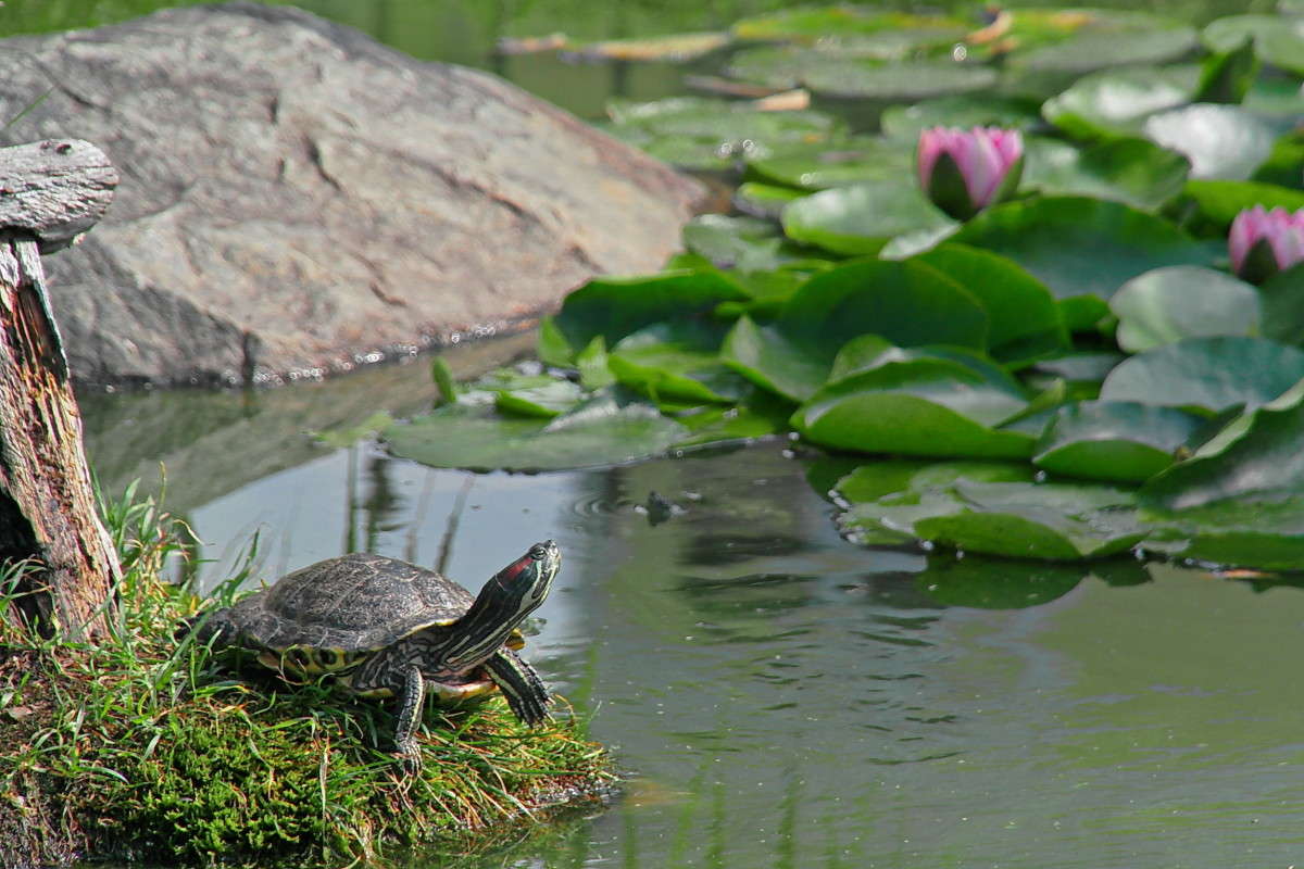 ...... ����� vladimir tamoza �� PhotoGeek.ru #�������� ��� #��������� #������