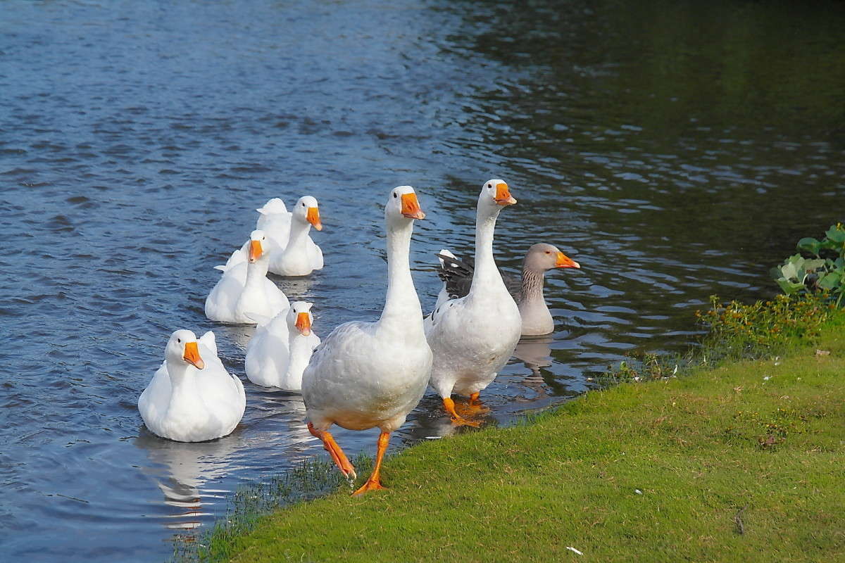 �����.. ����� vladimir tamoza �� PhotoGeek.ru #�������� ��� #��������� #������